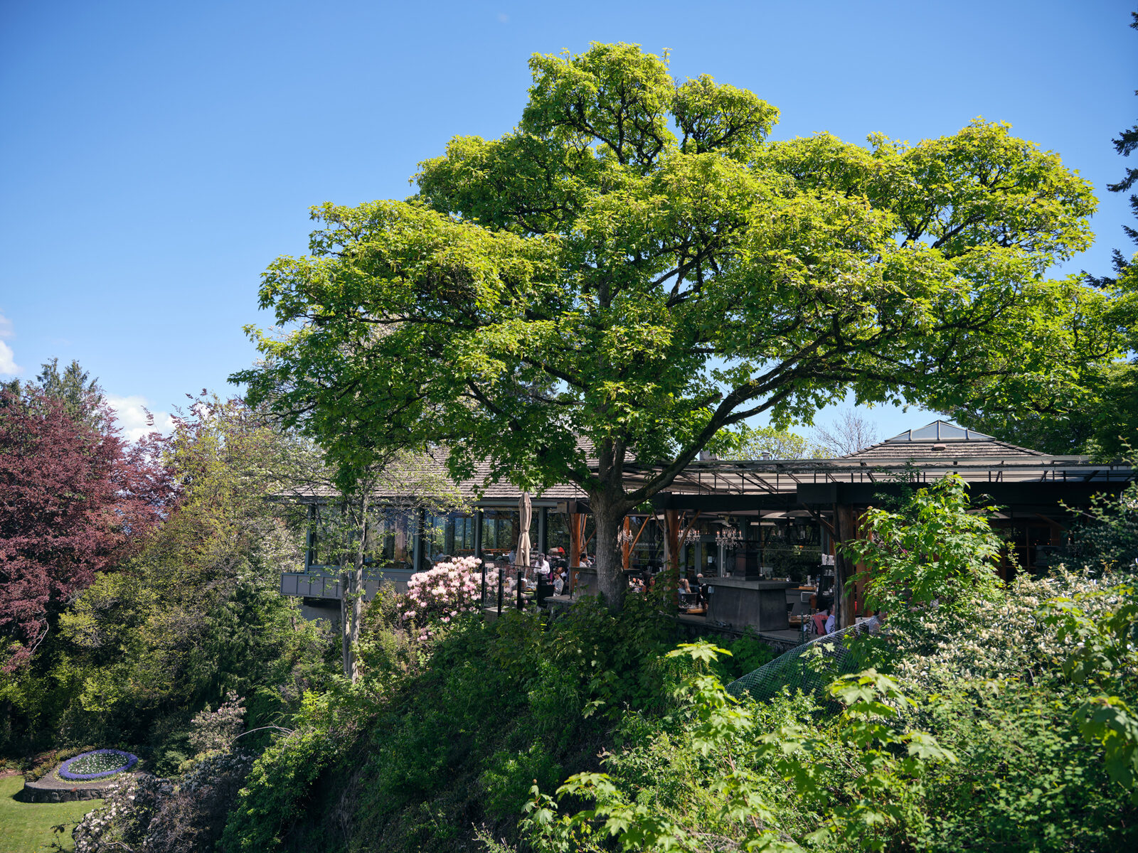 Live Performance Venues Nyc Live Performance Venues Nyc